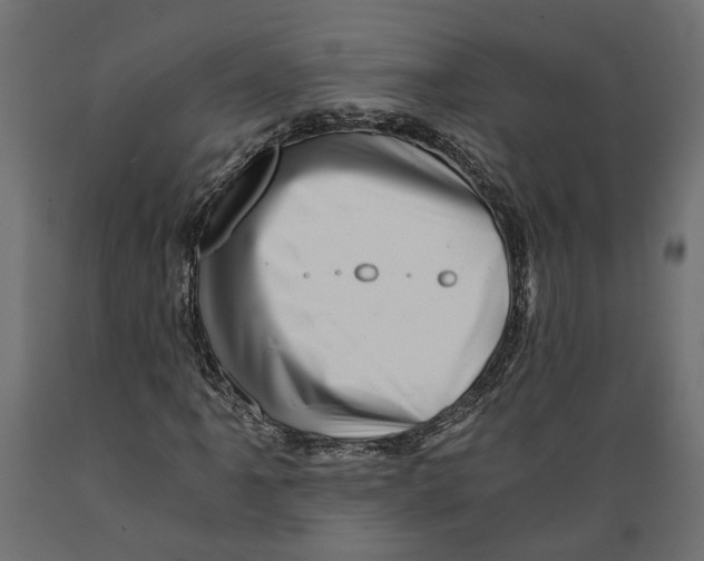 X0000088891061200707061427