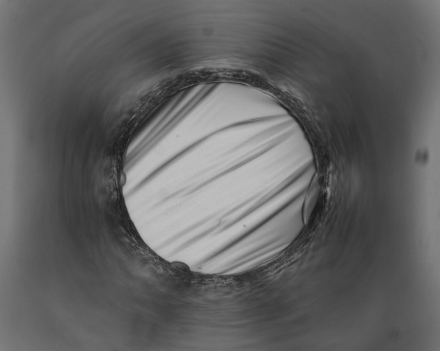X0000088891062200707061427