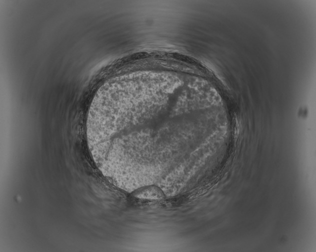 X0000088891063200707061427