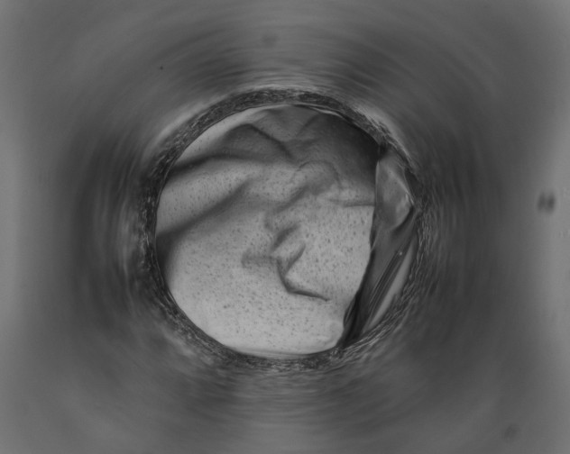 X0000088891064200707061427