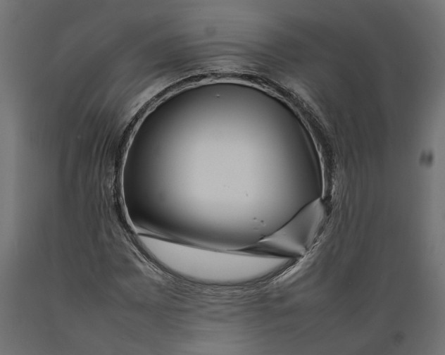 X0000088891065200707061427