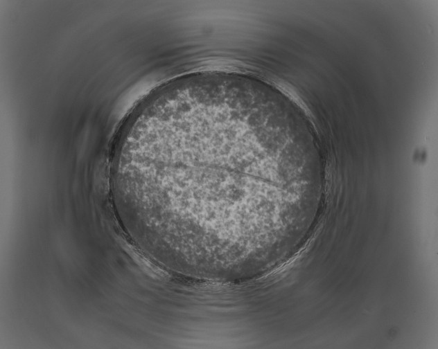 X0000088891067200707061427