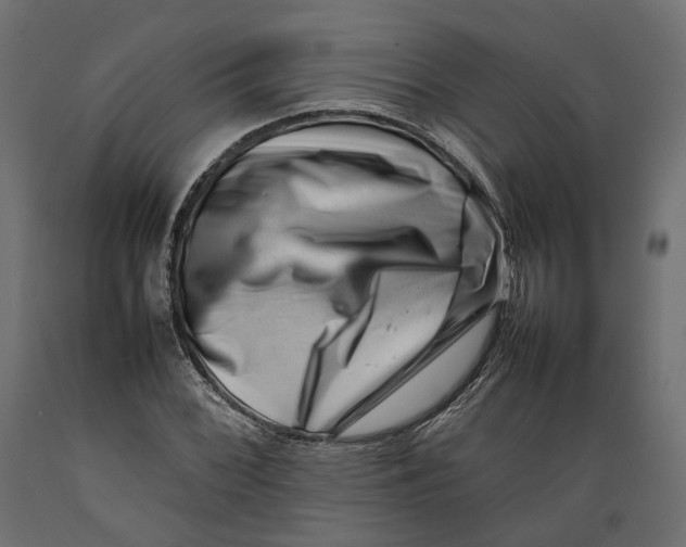 X0000088891068200707061427