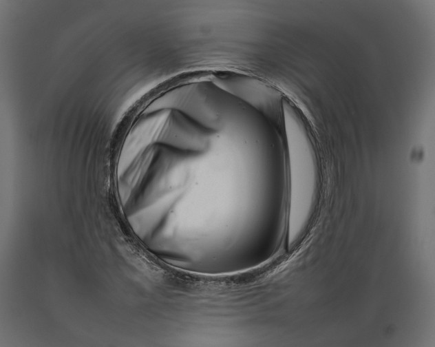 X0000088891069200707061427