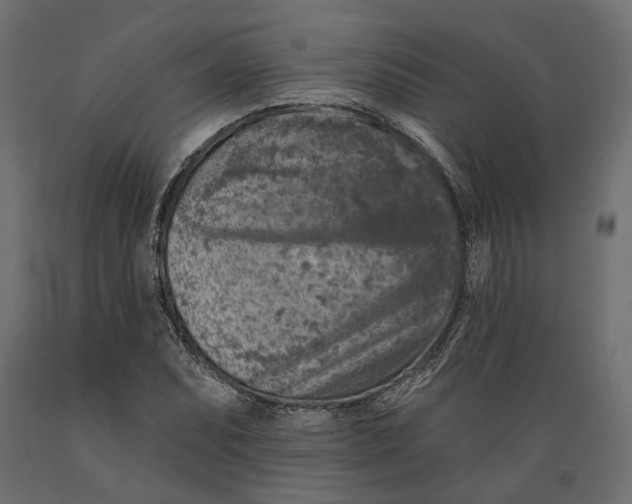 X0000088891071200707061427