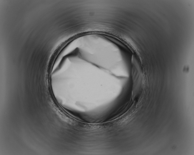 X0000088891072200707061427