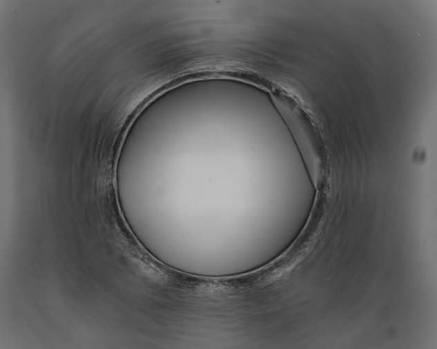 X0000088891073200707061427