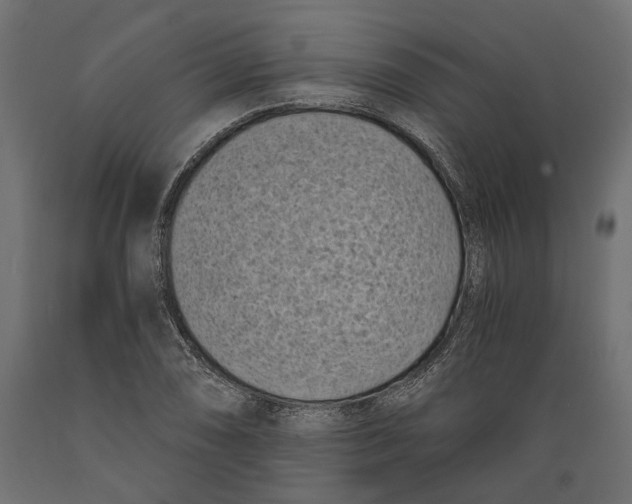 X0000088891074200707061427
