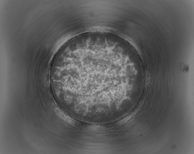 X0000088891075200707061427