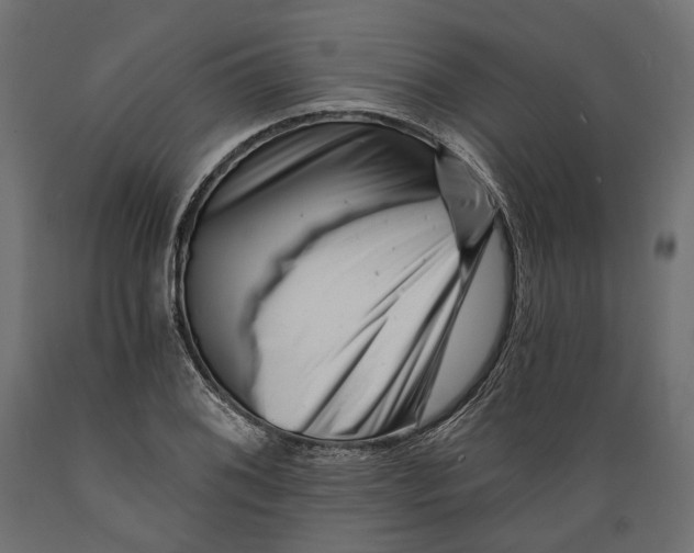 X0000088891076200707061427