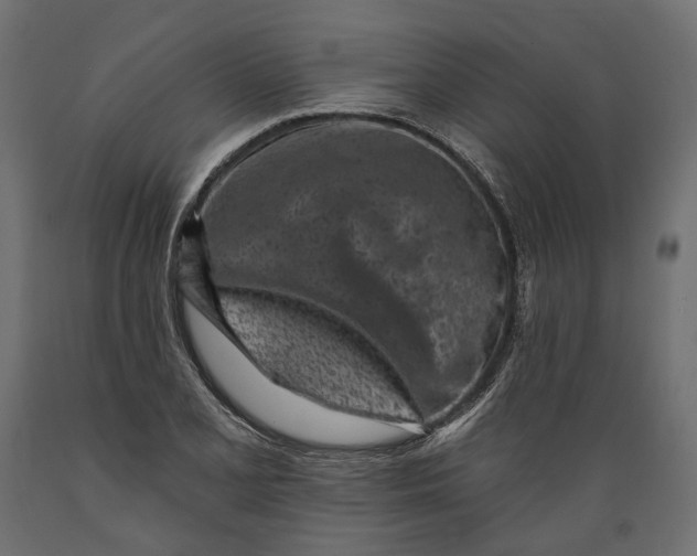 X0000088891077200707061427