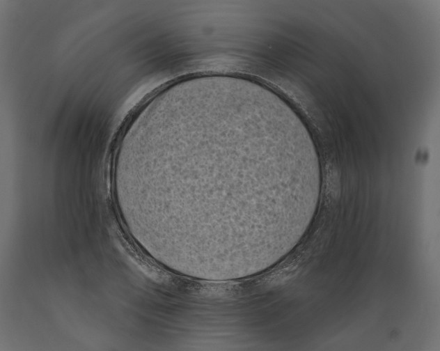 X0000088891078200707061427
