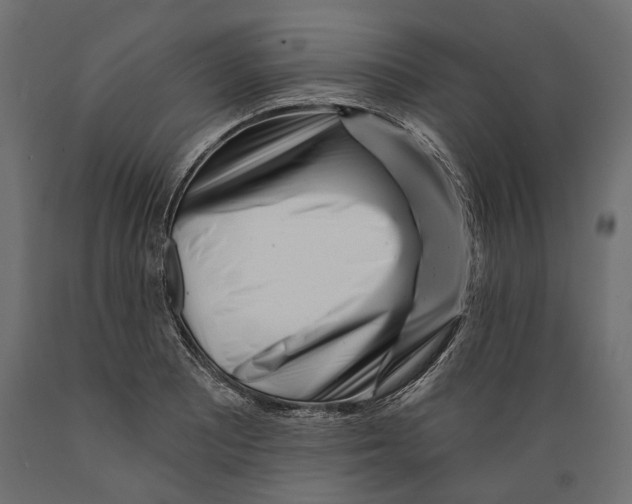 X0000088891081200707061427