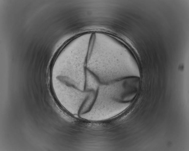 X0000088891082200707061427