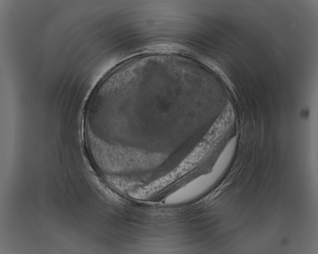 X0000088891083200707061427
