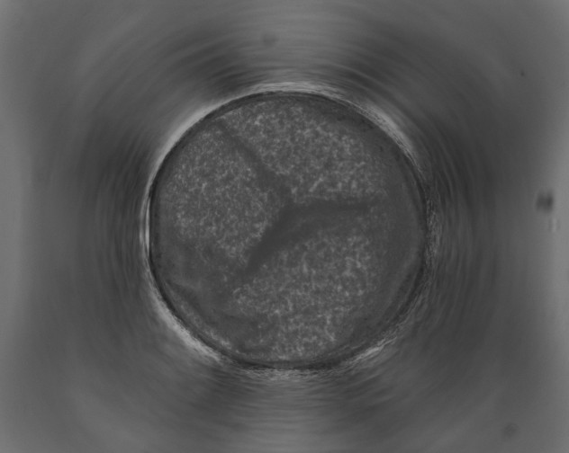 X0000088891084200707061427