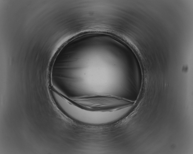 X0000088891085200707061427