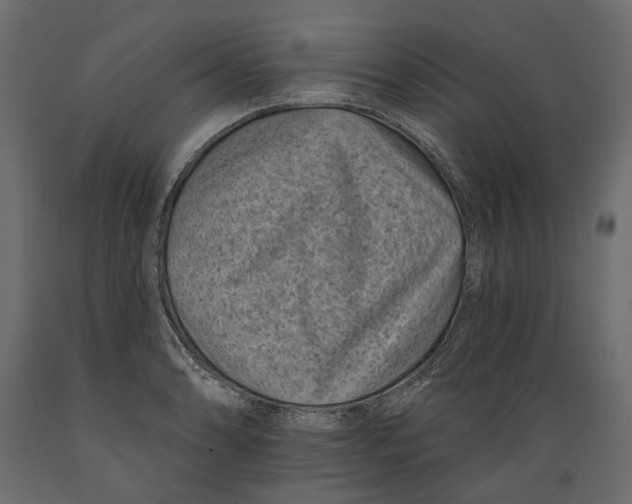 X0000088891086200707061427