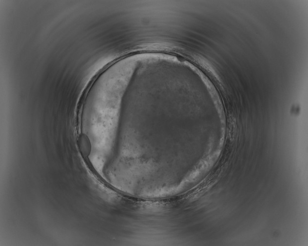 X0000088891087200707061427