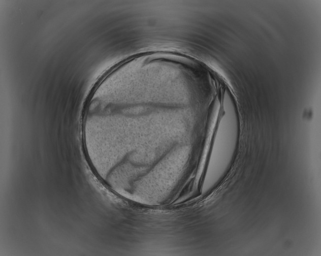 X0000088891088200707061427