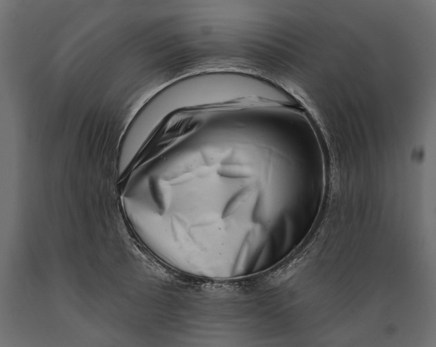 X0000088891089200707061427