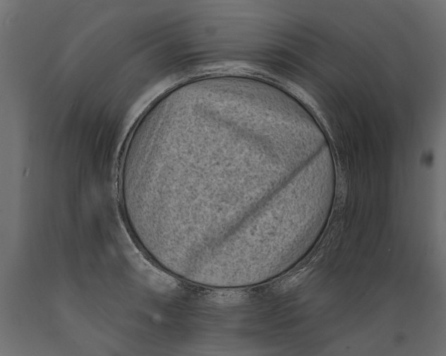 X0000088891090200707061427
