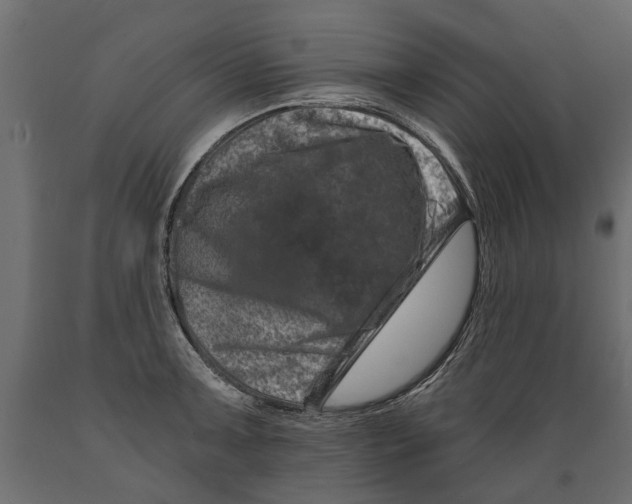 X0000088891091200707061427
