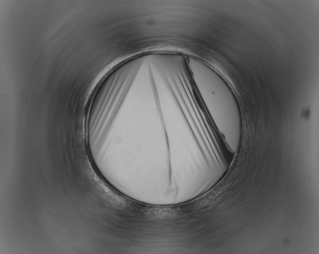 X0000088891092200707061427