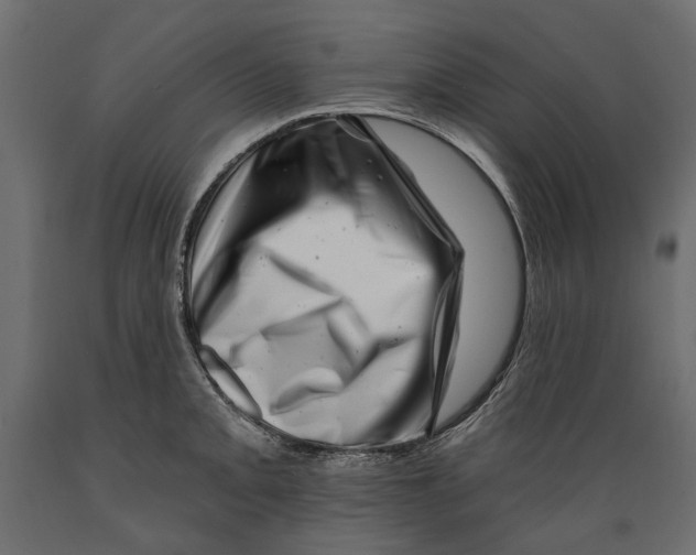 X0000088891093200707061427