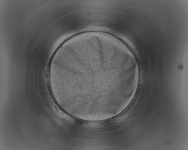 X0000088891094200707061427