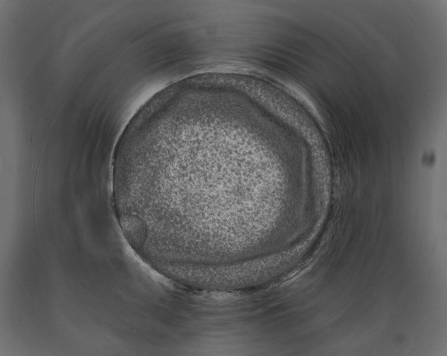 X0000088891095200707061427