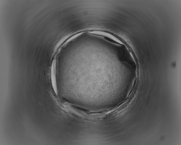 X0000088891097200707061426