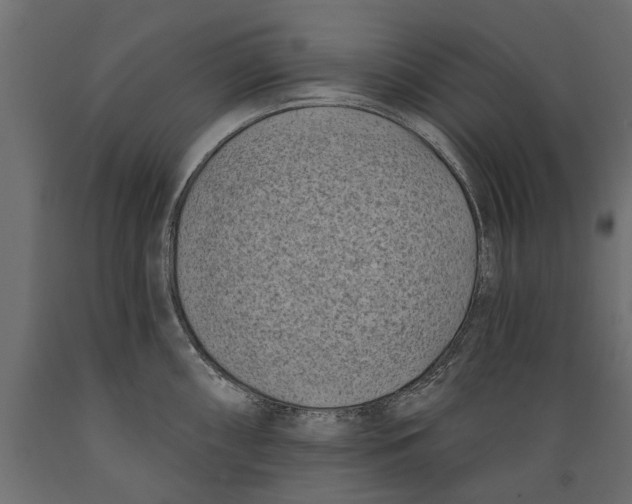 X0000088891098200707061426