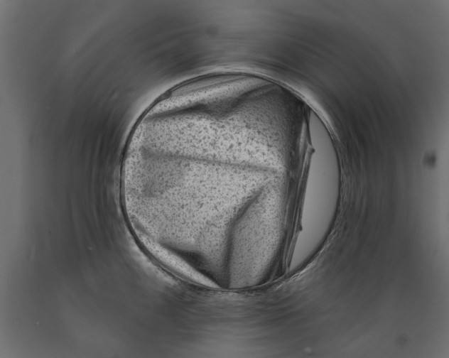 X0000088891100200707061426