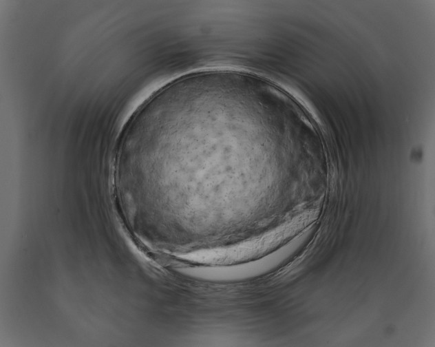 X0000088891101200707061426