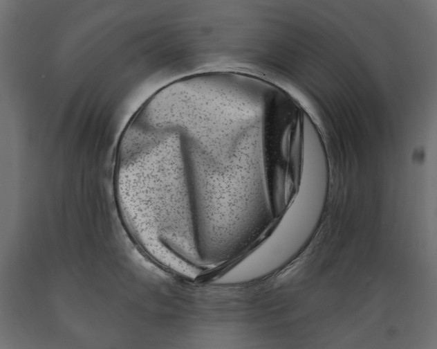 X0000088891102200707061426