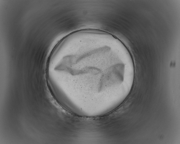 X0000088891104200707061426