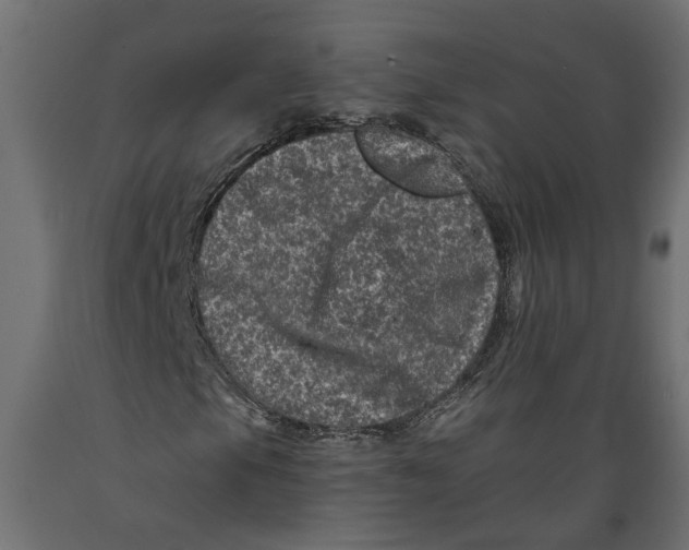 X0000088891105200707061426