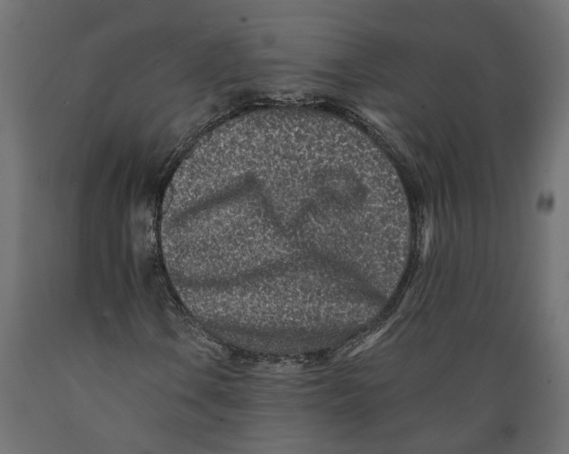 X0000088891106200707061426