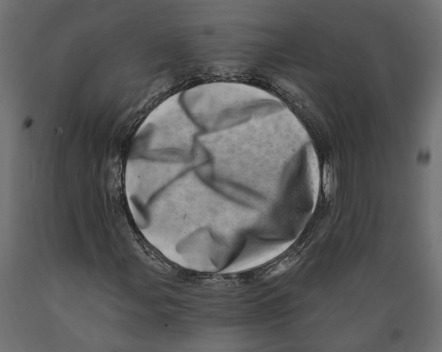 X0000088891107200707061426