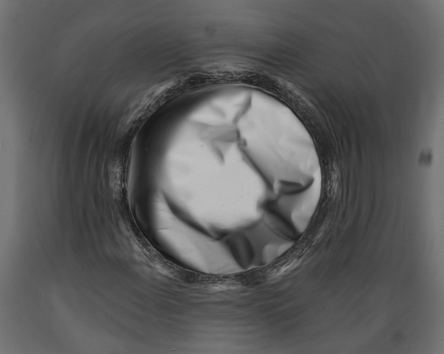 X0000088891108200707061426