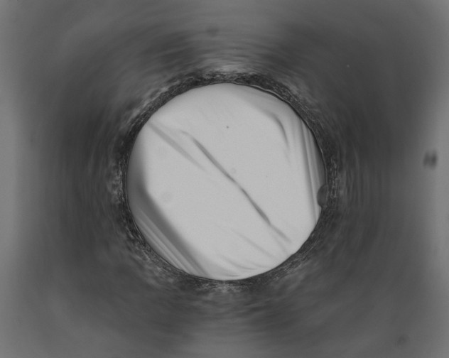 X0000088891109200707061426