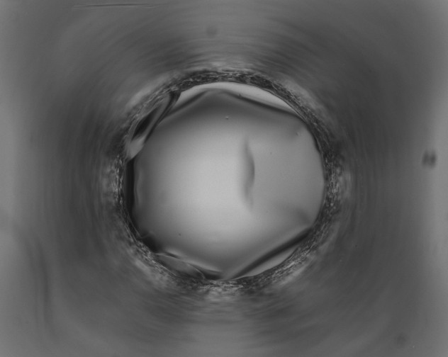 X0000088891110200707061426