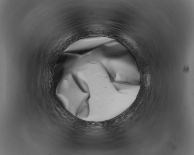 X0000088891111200707061426