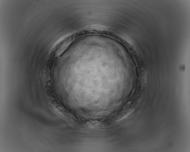 X0000088891112200707061426