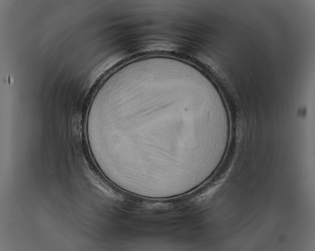 X0000088891113200707061426
