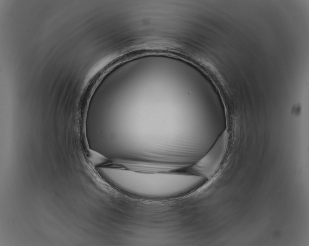 X0000088891114200707061426