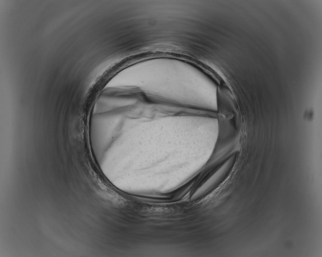X0000088891115200707061426