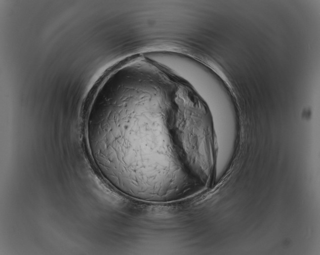 X0000088891116200707061426