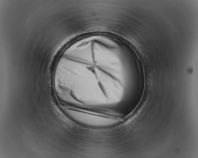 X0000088891118200707061426